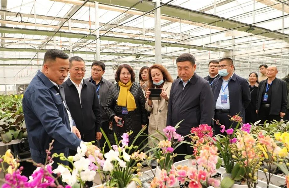图一：在内蒙古伊泰印象花卉有限责任公司调研.jpg