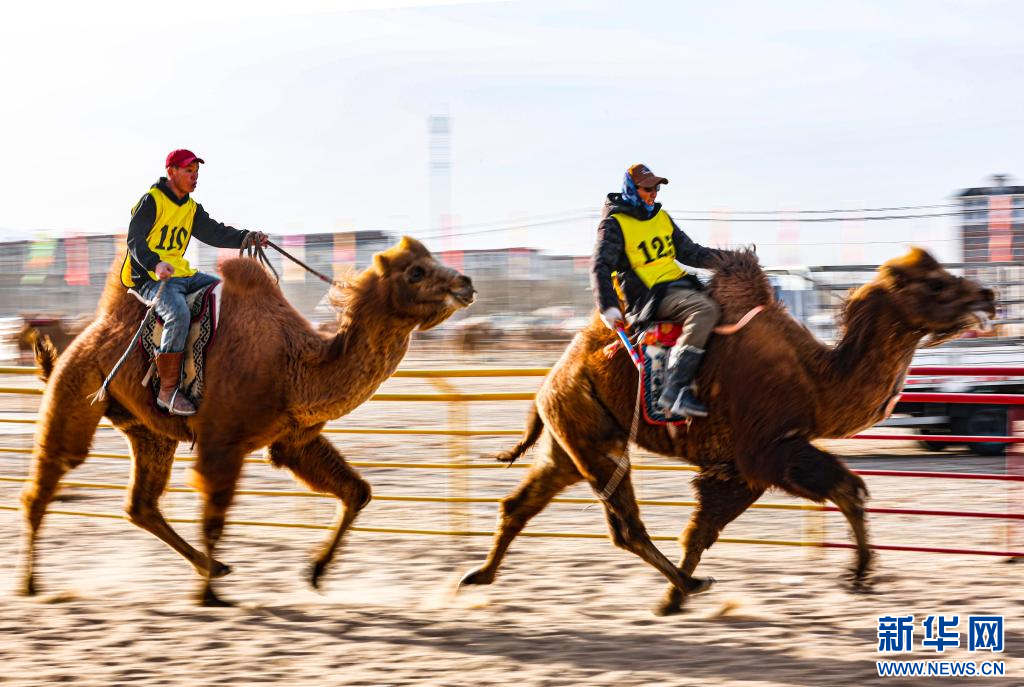 3月7日，赛驼手在6000米成年骆驼场地速度赛比赛中.jpg