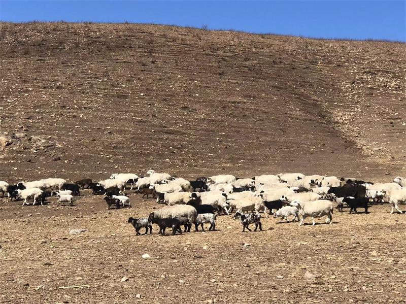 1648959325767694.jpg 微信图片_20220403120737.jpg