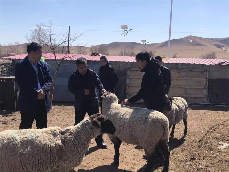 1648959366856403.jpg 微信图片_20220403120743.jpg