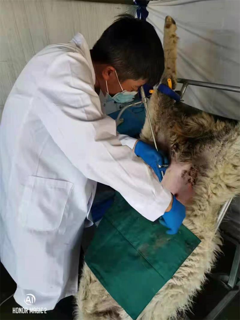 1648959385109900.jpg 微信图片_20220403120747.jpg