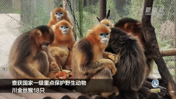 微信图片_20220412171929.gif