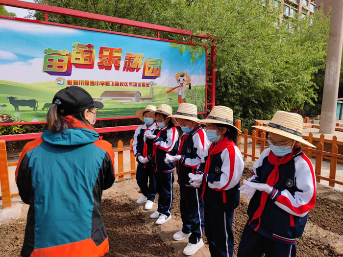 图片2_副本.png