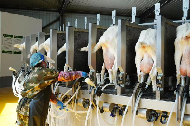 1657702945916047.png 图片3_副本.png