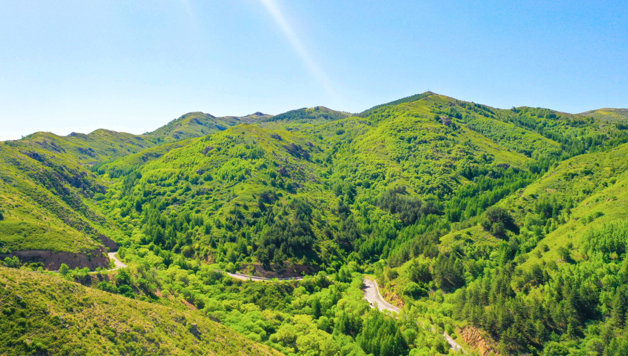 1658481531469850.png 图片2.png