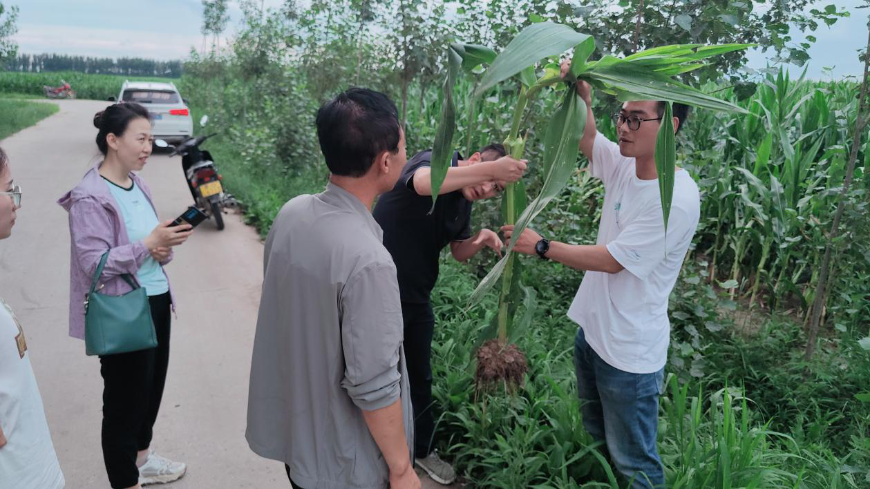 1658483463905443.png 图片6.png