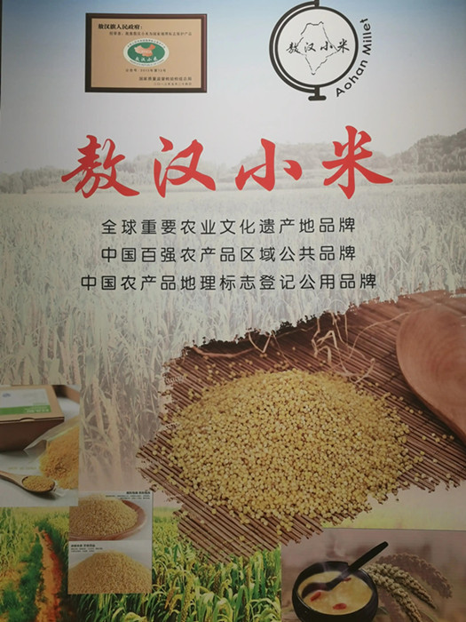 微信图片_20220726152731_副本.jpg