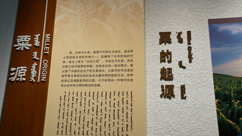 微信图片_20220726153741_副本.jpg