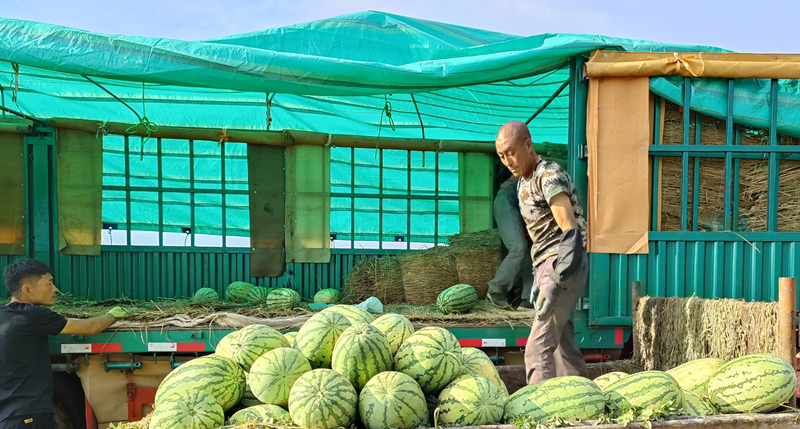 图片9_副本.png