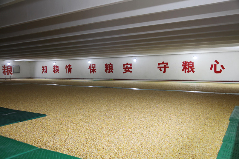微信图片_20220920084722_副本.jpg