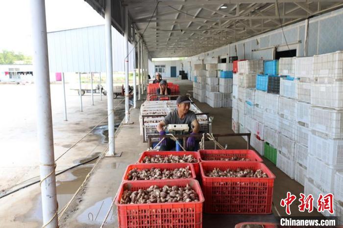 1671105756782108.jpg 微信图片_20221215200138.jpg