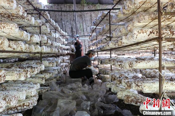 1671105770870137.jpg 微信图片_20221215200143.jpg