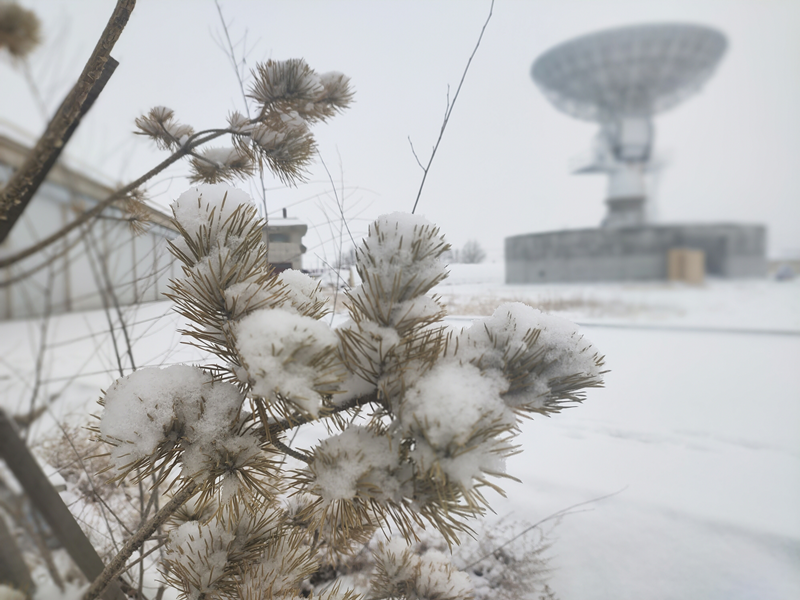 1675927390903699.png 101_副本.png