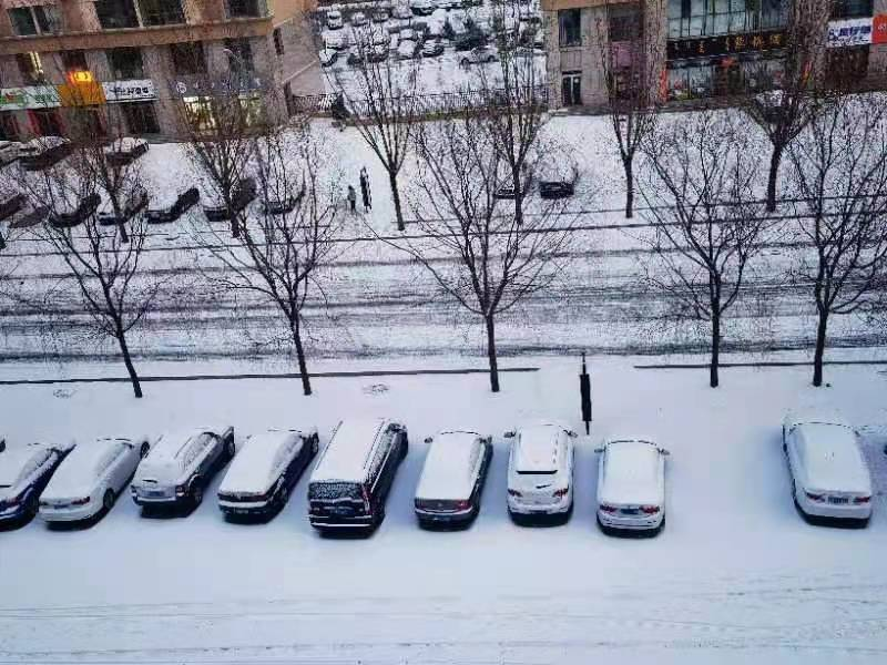 1675927401275477.png 102.png