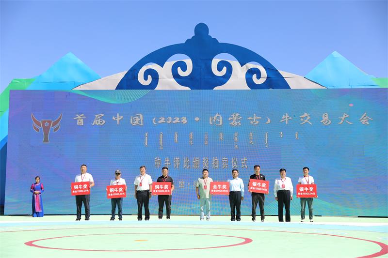 种牛评比颁奖拍卖仪式。（摄影：张敏）.JPG