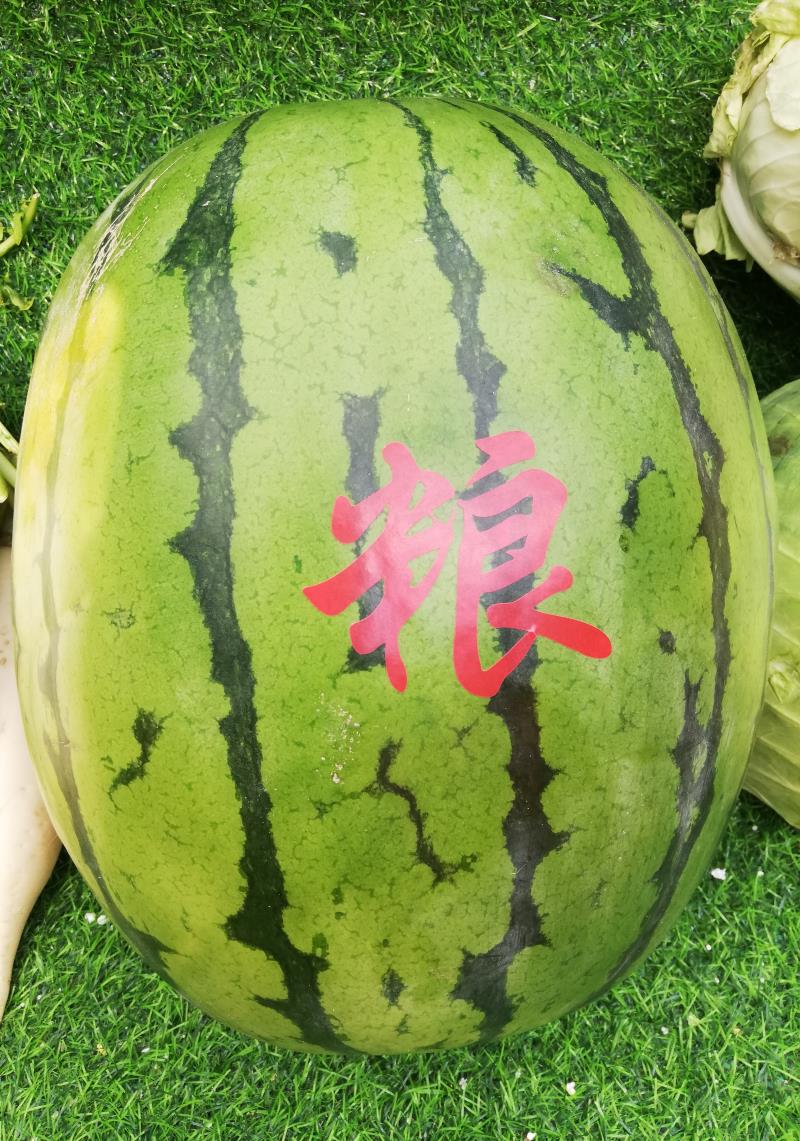 微信图片_20230919105219_看图王.jpg