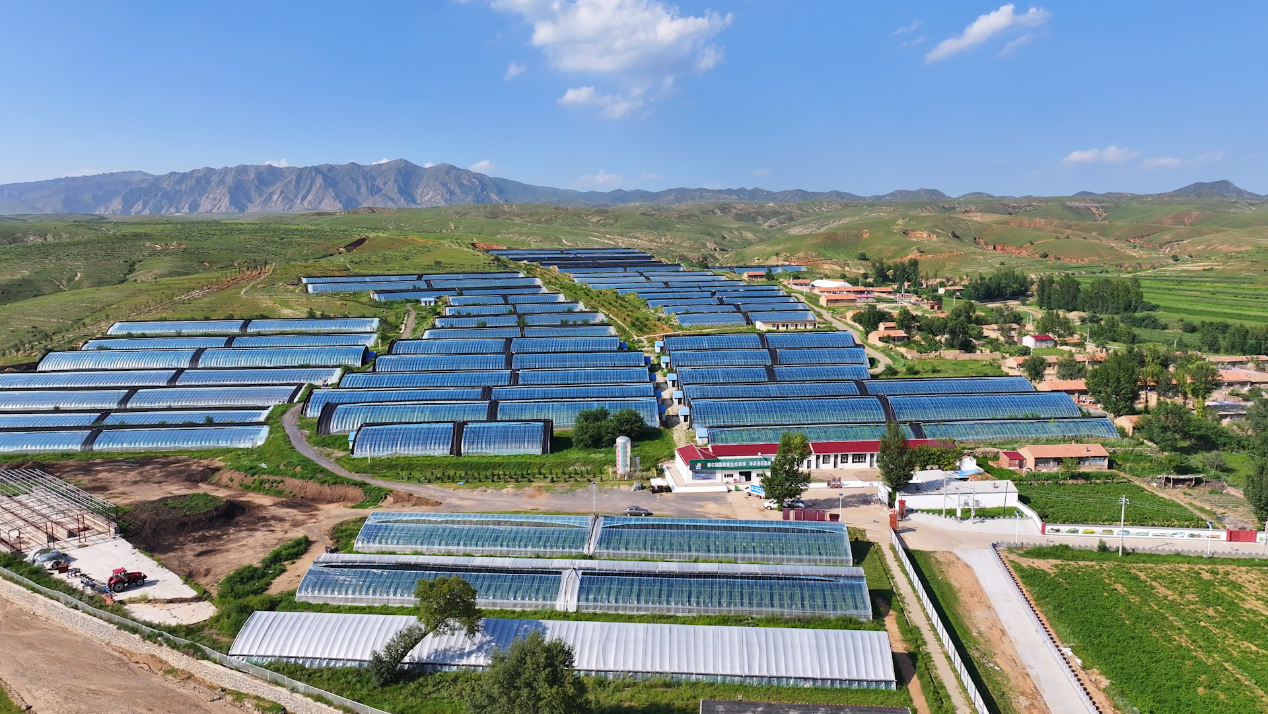 1718762836228830.png 图片4.png