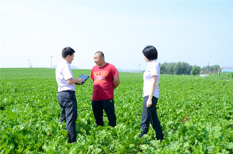 微信图片_20250716222606_副本.jpg
