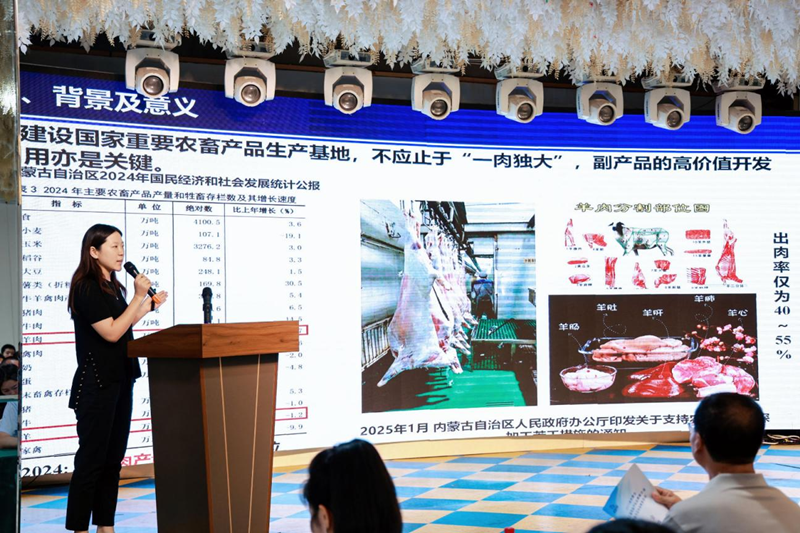 图片1_副本.png