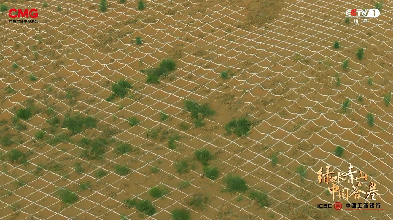 1756262416915547.jpg