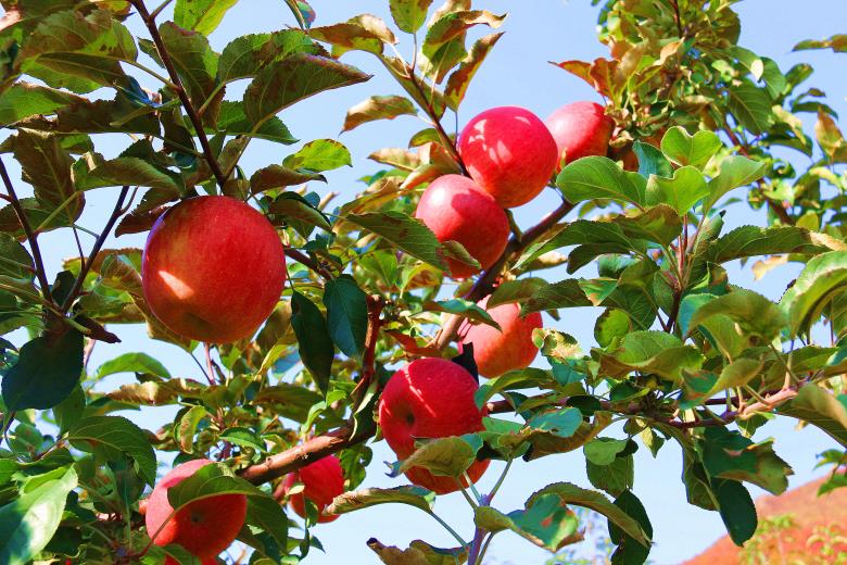 1761522815200830.jpg 微信图片_20251026195218_29_3673.jpg