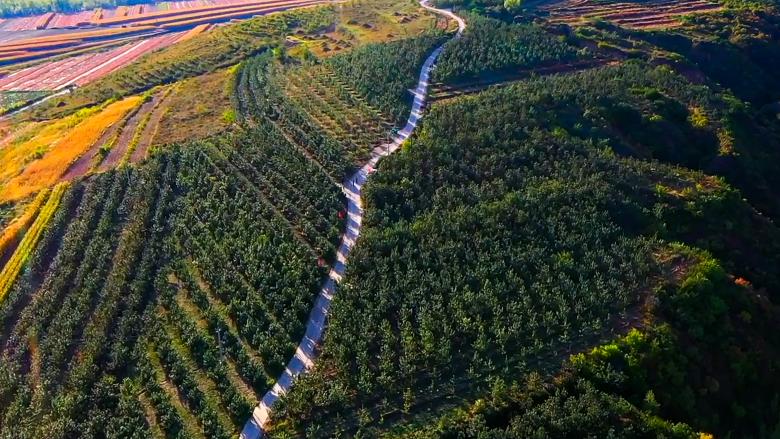 1761522838788725.jpg 微信图片_20251026193642_22_3673.jpg