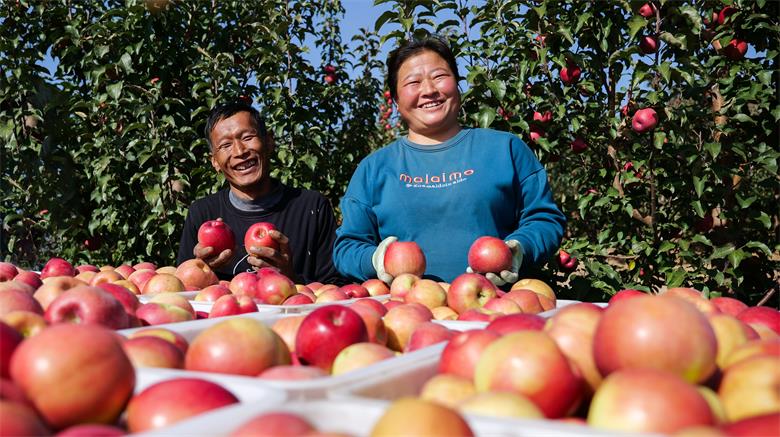 1761522958370514.jpg 微信图片_20251026193539_20_3673.jpg