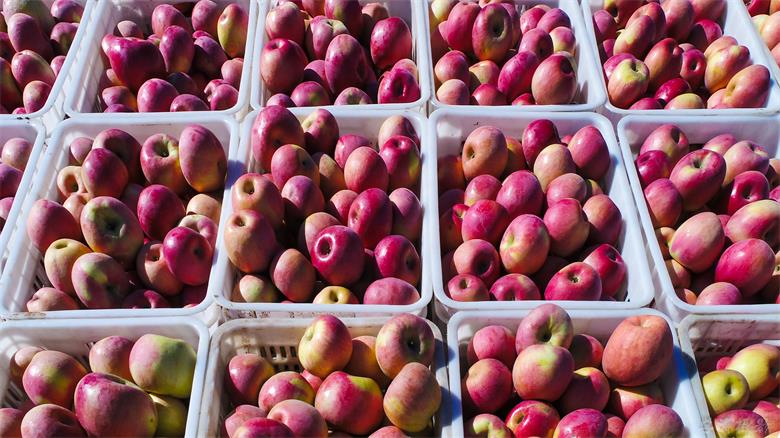 1761522970579326.jpg 微信图片_20251026193555_21_3673.jpg