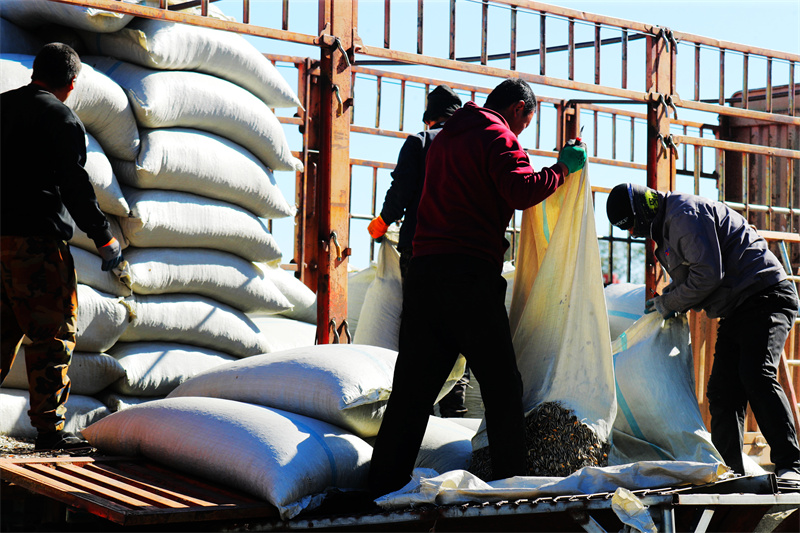 1761653536128993.jpg 微信图片_2025-10-28_201049_383.jpg