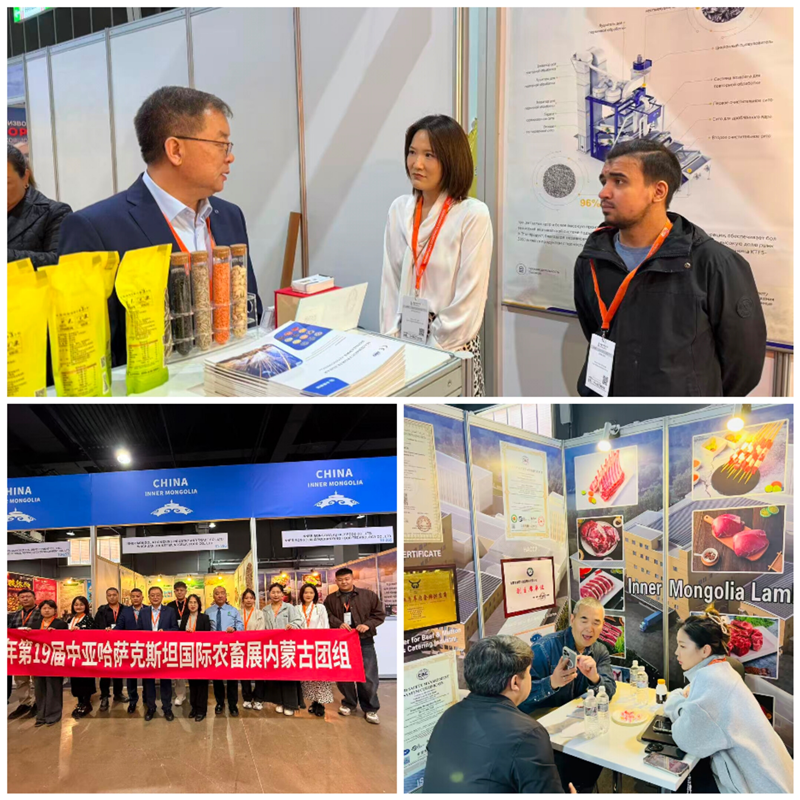 1761805890875480.png 图片4.png