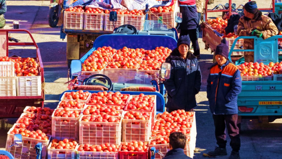 1762836896726917.png image.png