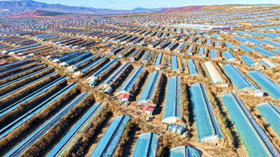 1762836912515034.png image.png