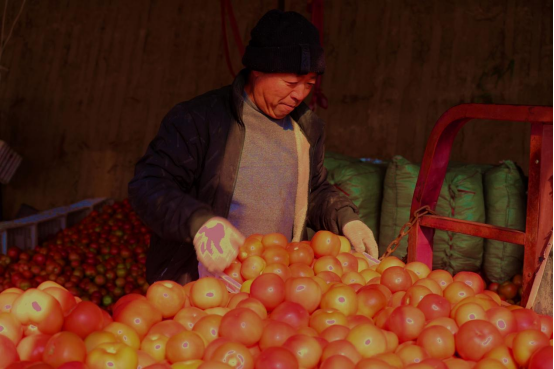 1762836928346104.png image.png