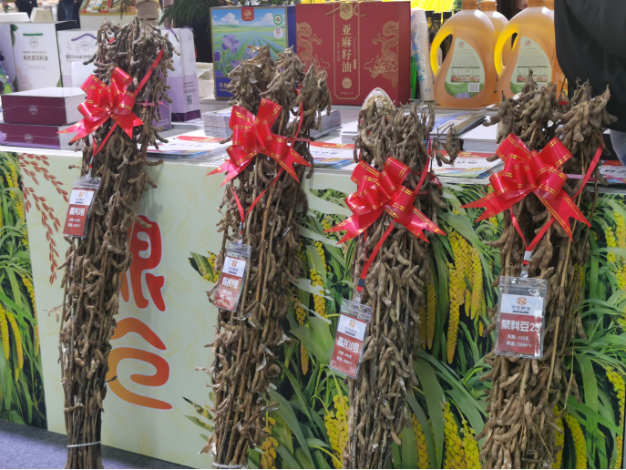 1763093411309405.png image.png