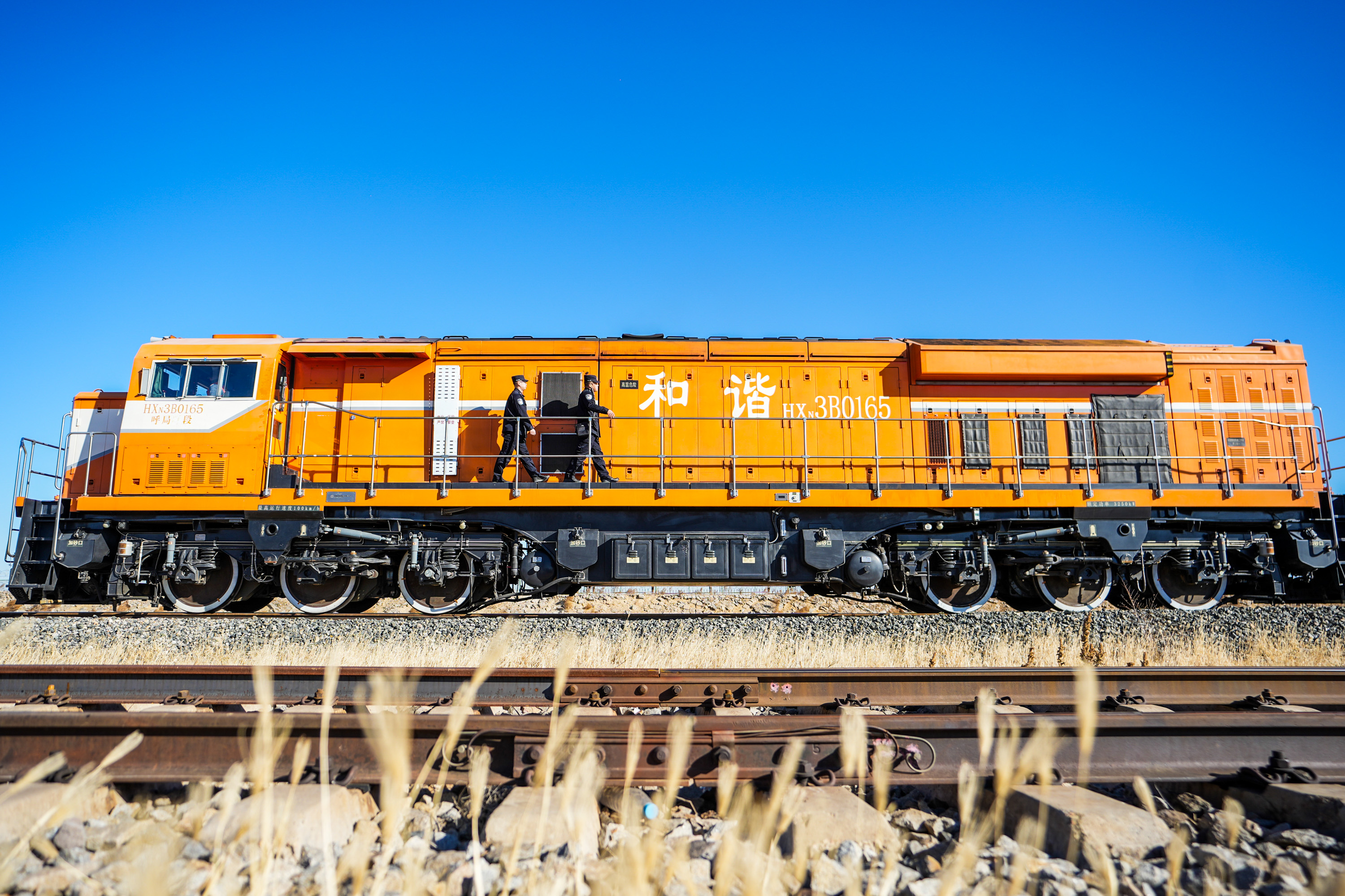 1763122272687796.jpg 1763122272687796.jpg