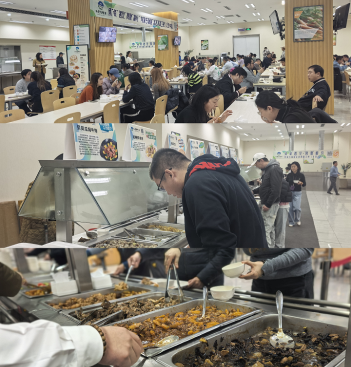 1763775144320210.png 1763775144320210.png