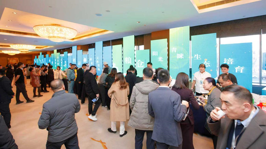 1764154138104156.png image.png