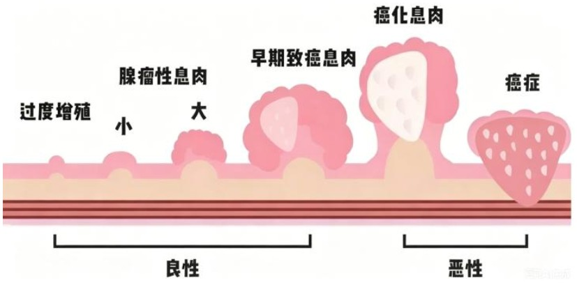 1779164611197079.png 图片1.png