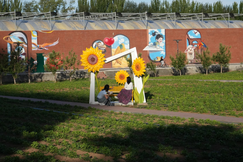 https://www.nmgsb.com.cn/uploads/image/20260614/1781403117707627-lp.png