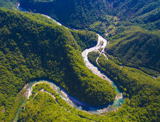 俯瞰福建武夷山国家公园，满目苍翠。黄海 摄