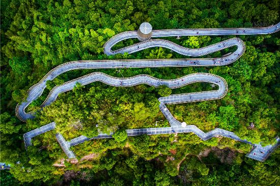 福州金牛山公园福道，被绿色包围。陈晨旭 摄