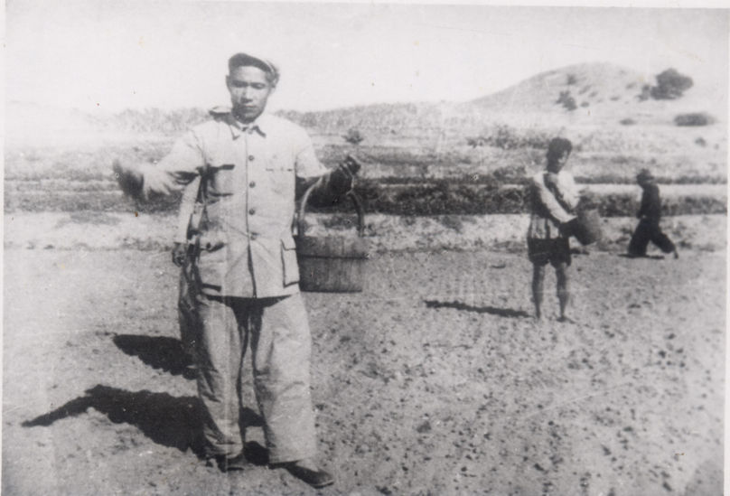 谷文昌(左)在田间与农民一起劳动(资料照片)。