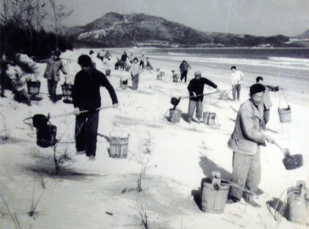 上世纪东山百姓在沙滩造林(资料照片)。