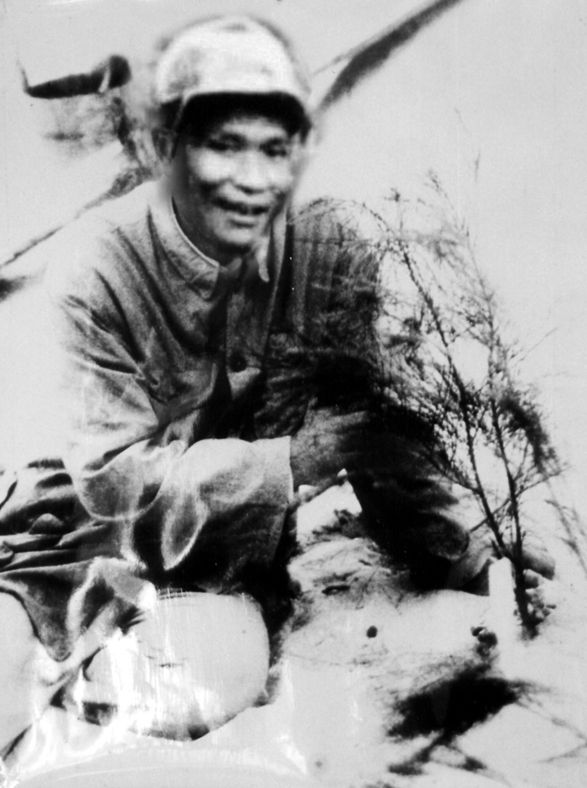 谷文昌与试种成活的木麻黄(资料照片)。为了治沙,谷文昌爬遍了东山县400多个山头,踏遍了30多公里的沙滩,终于带领东山人民试种木麻黄成功。