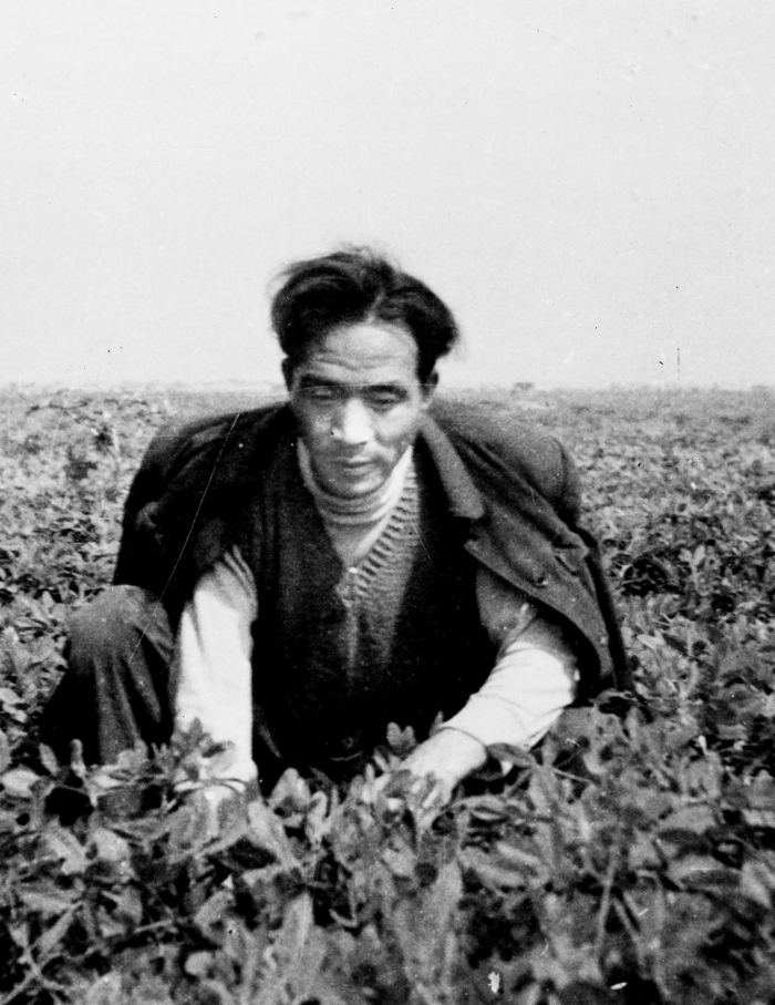 在兰考期间,焦裕禄在田间劳动的情景。