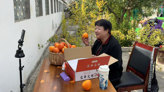 华丽柿子专业合作社进行直播售卖柿饼。人民网 焦磊摄
