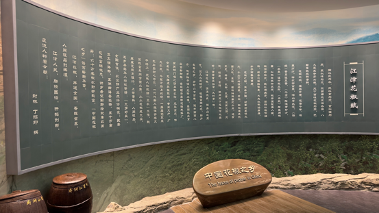 花椒博物馆。人民网 焦磊摄