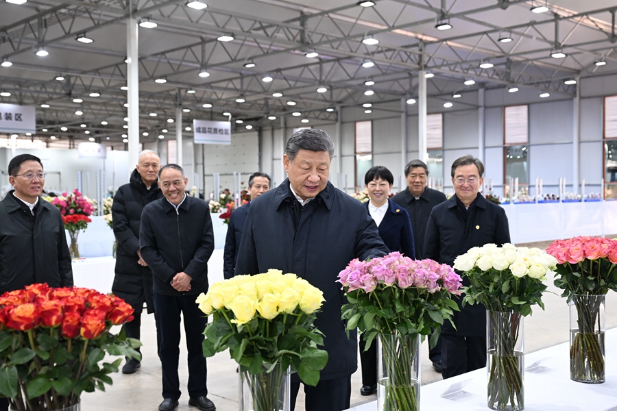 △3月19日下午，习近平总书记在云南丽江现代花卉产业园展厅考察时，察看鲜切花品种展示。