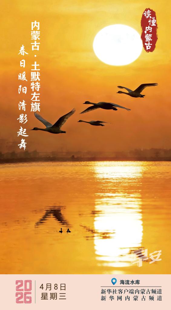 春日暖阳 清影起舞 内蒙古土默特左旗 https://www.nmgsb.com.cn/uploads/other/20260408/202604078a6de595e36d4d8a9a6fa9d3ea360125_d9a55aed0b21445b923e0f9da766fe17.jpg