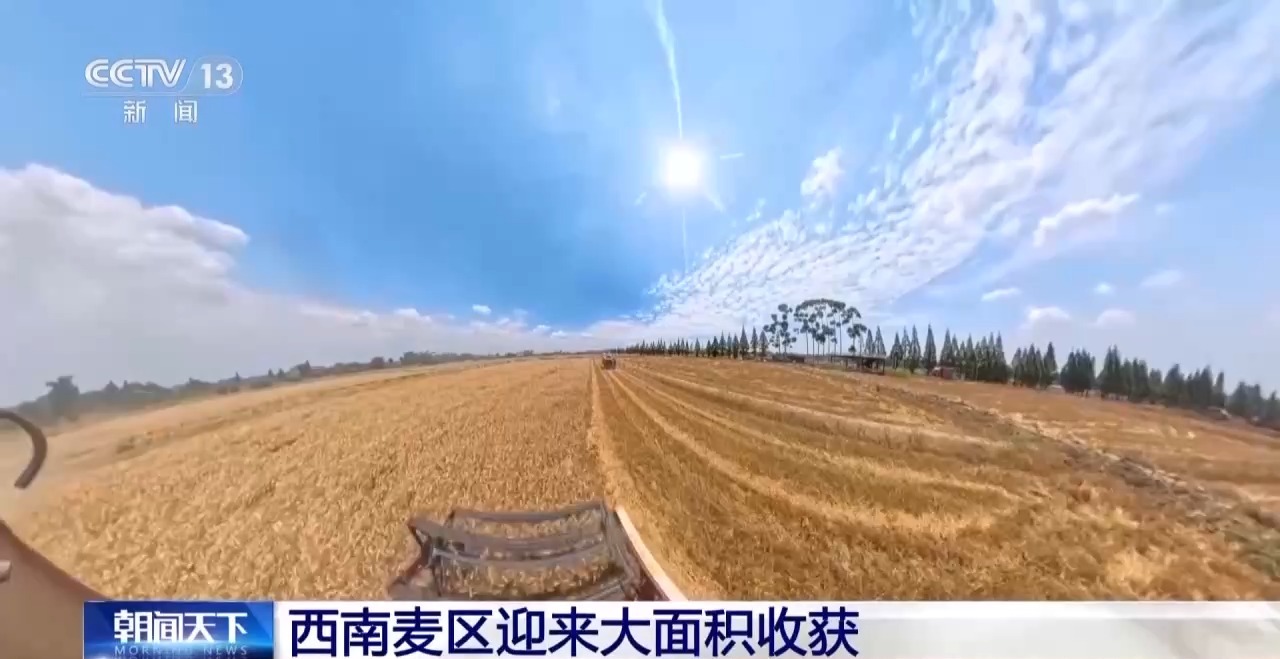 https://www.nmgsb.com.cn/uploads/other/20260516/W020260516352964500928_ORIGIN.jpg